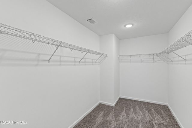 586 Hampton Drive, North Augusta, SC 29860