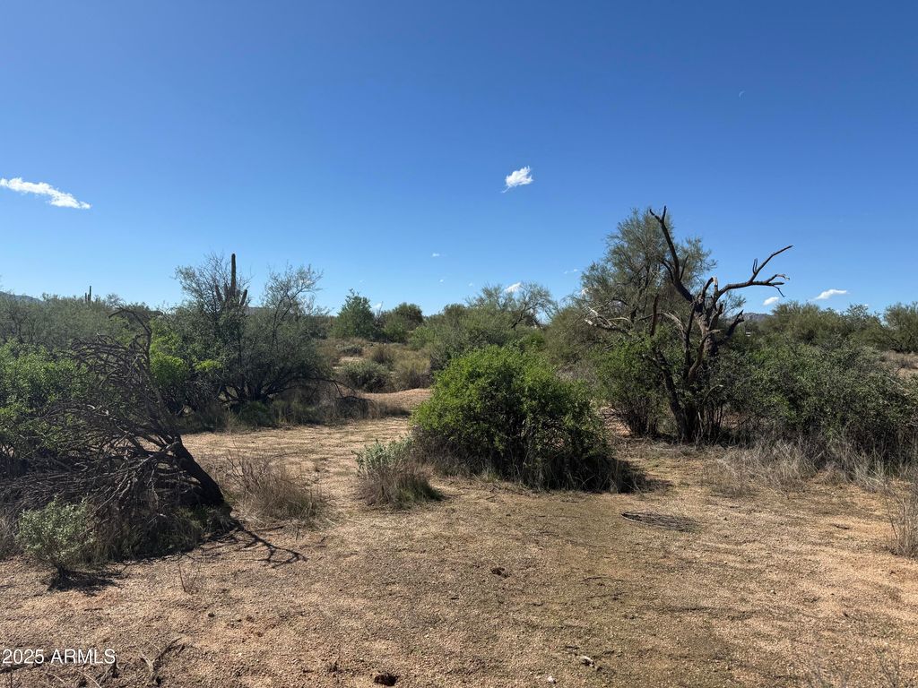 308xx N 164th Street -, Scottsdale, AZ 85262 — photo 2