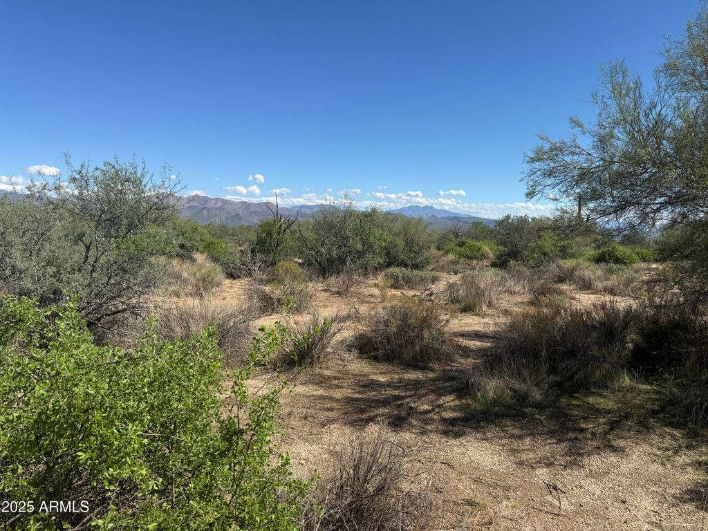 308xx N 164th Street -, Scottsdale, AZ 85262 — photo 3