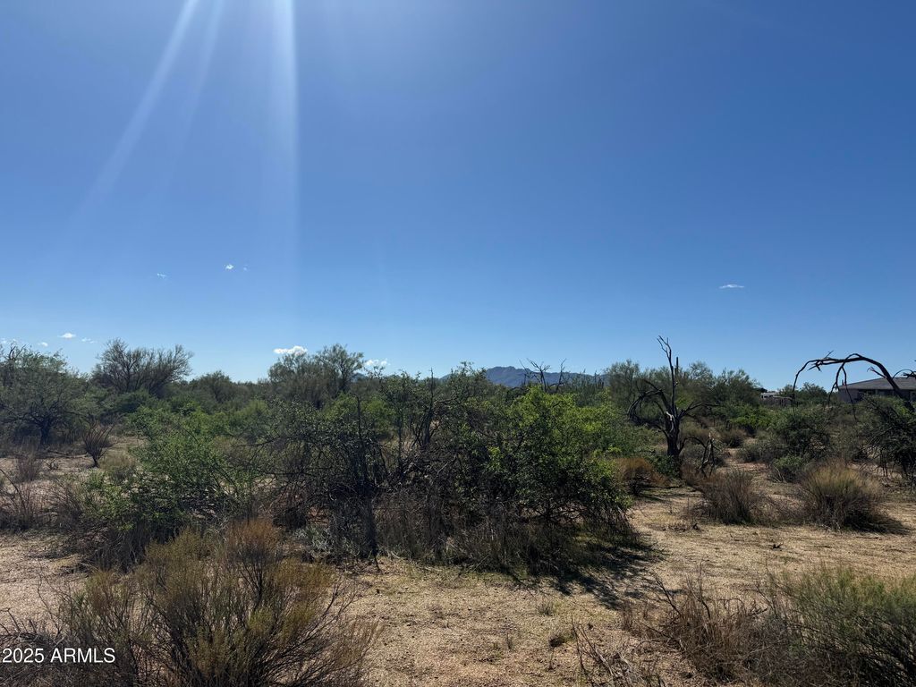 308xx N 164th Street -, Scottsdale, AZ 85262 — photo 4