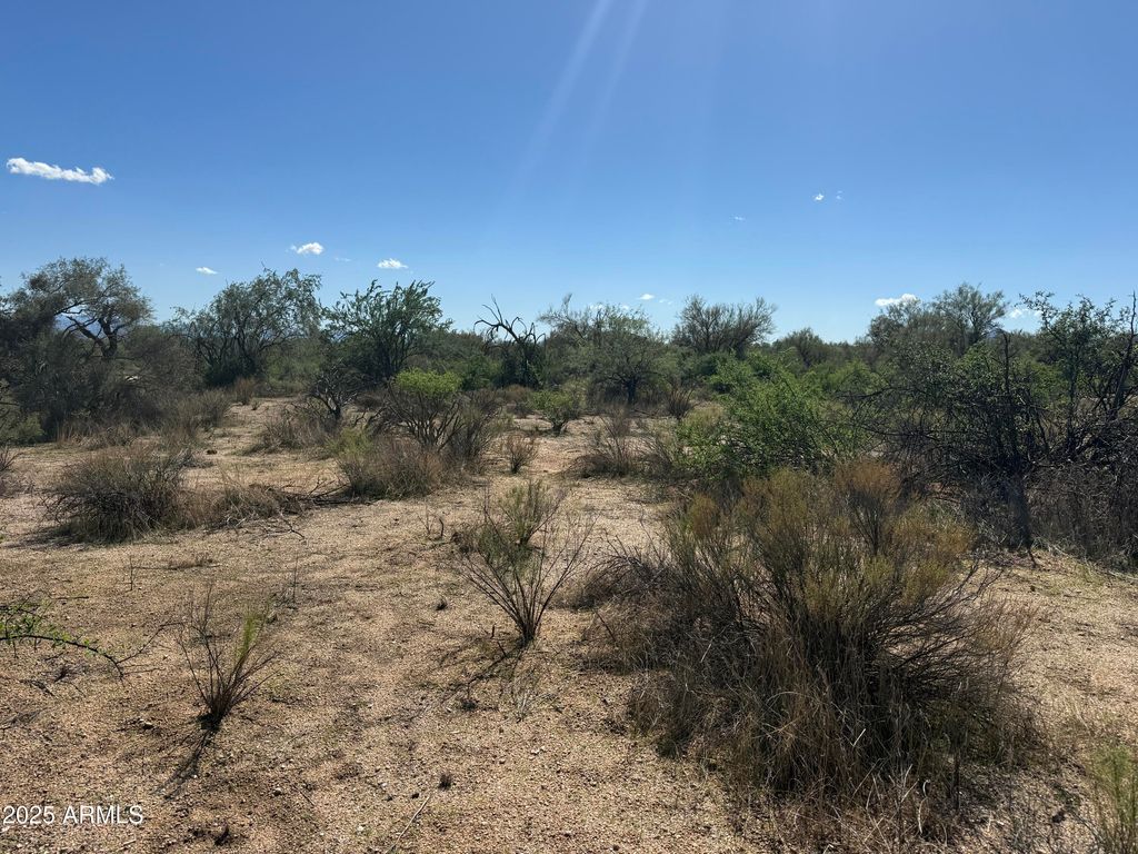 308xx N 164th Street -, Scottsdale, AZ 85262 — photo 5