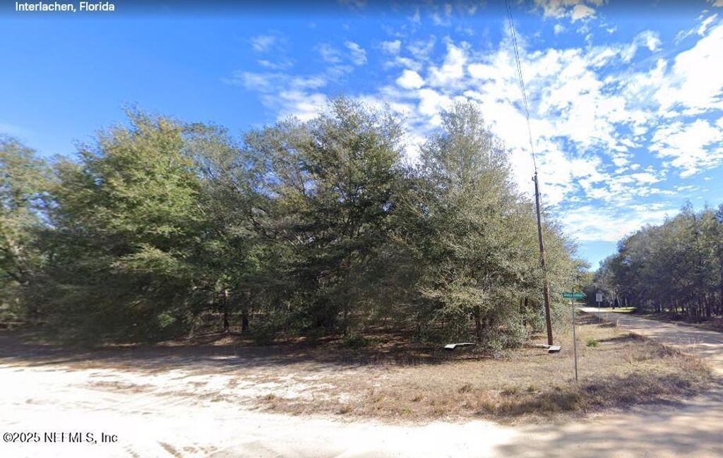 101 DEBRA Circle, Interlachen, FL 32148