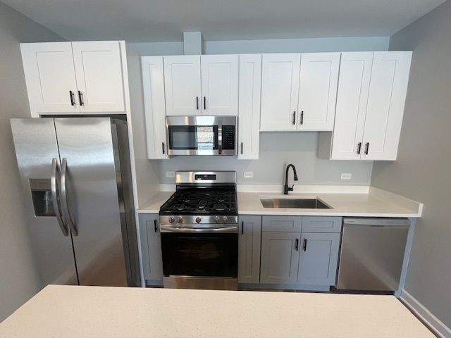 1719 W CHICAGO Avenue 4, Chicago, IL 60622