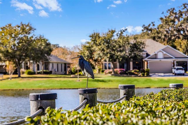 3942 KENNEBUNK LOOP, Mount Dora, FL 32757