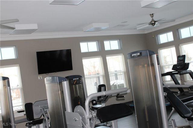 726 Cedar Crest Drive, Elyria, OH 44035