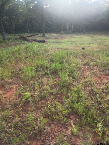 10717 C R 4149, Tyler, TX 75704
