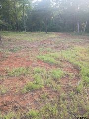 10717 C R 4149, Tyler, TX 75704