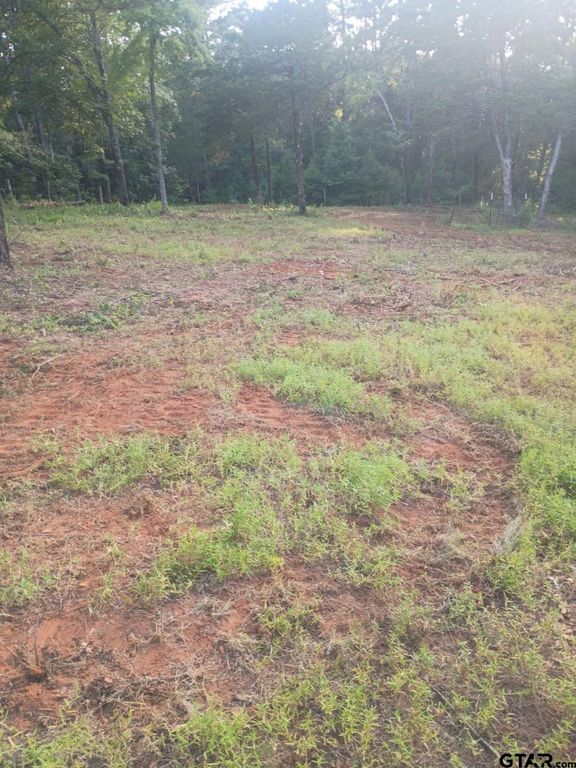 10717 C R 4149, Tyler, TX 75704