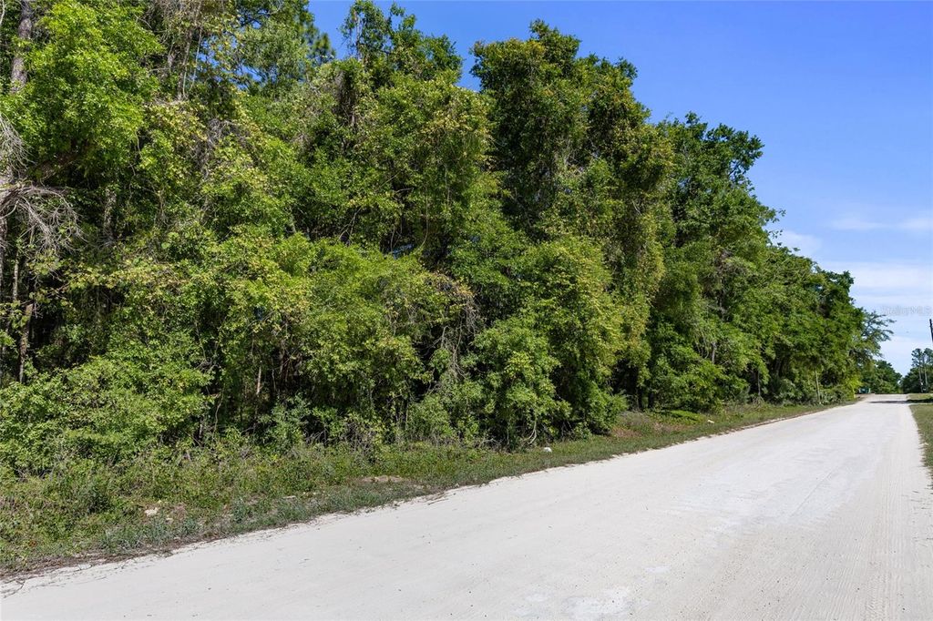 00000 SE 139TH COURT, Dunnellon, FL 34431