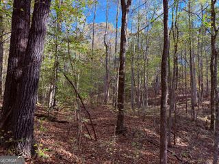 1001 Whooping Creek Road, Carrollton, GA 30116