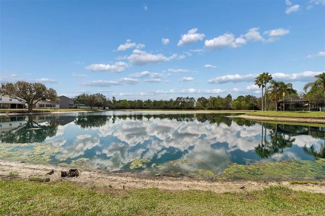 31537 EARN DRIVE, Wesley Chapel, FL 33545