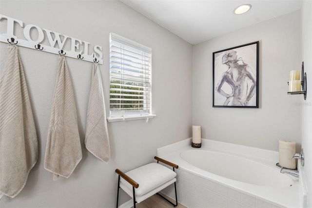 31537 EARN DRIVE, Wesley Chapel, FL 33545