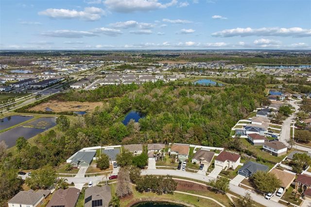 31537 EARN DRIVE, Wesley Chapel, FL 33545