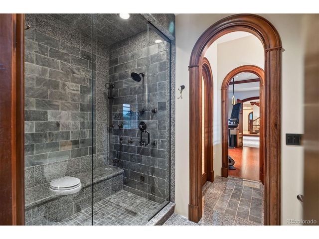 1125 Northwood Ct, Castle Rock, CO 80108