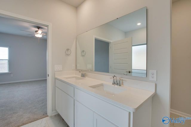 169 Protestant Drive, Madison, AL 35758