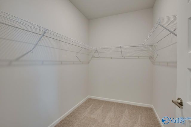 169 Protestant Drive, Madison, AL 35758