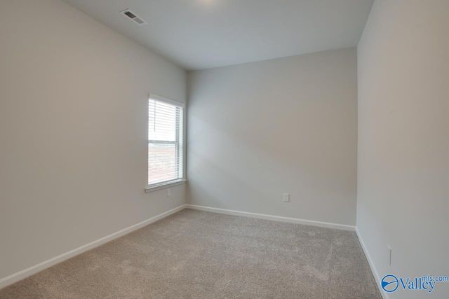 169 Protestant Drive, Madison, AL 35758