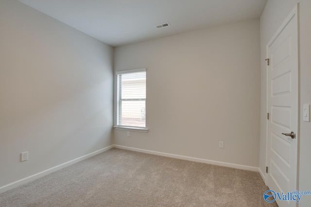 169 Protestant Drive, Madison, AL 35758