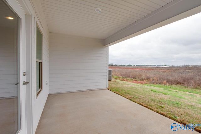 169 Protestant Drive, Madison, AL 35758