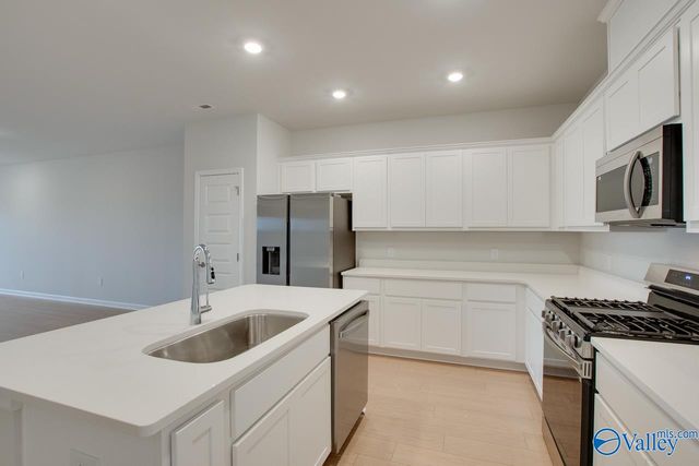 169 Protestant Drive, Madison, AL 35758