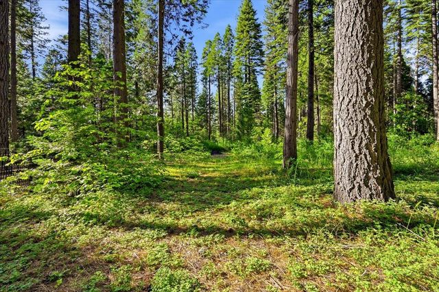 22929 Missouri Ridge, Nevada City, CA 95959
