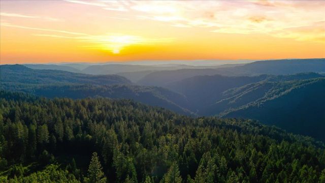 22929 Missouri Ridge, Nevada City, CA 95959