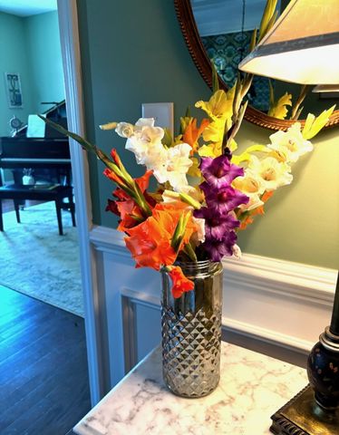 203 Meadows Edge Court, Anderson, SC 29621