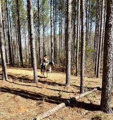 000 Nicks Road, Mebane, NC 27302