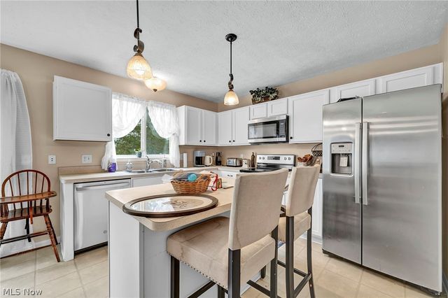 9788 Nicole Lane, Olmsted Twp, OH 44138