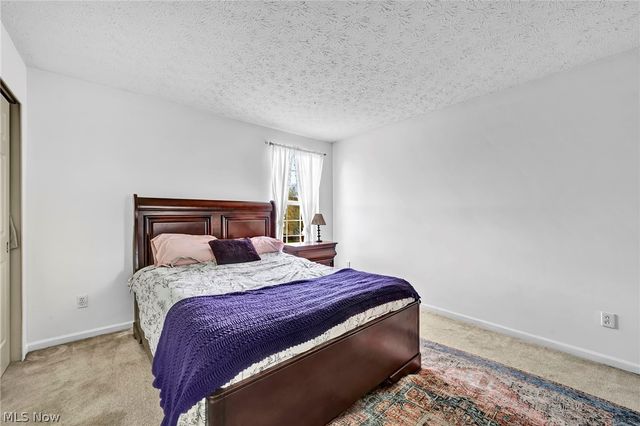 9788 Nicole Lane, Olmsted Twp, OH 44138