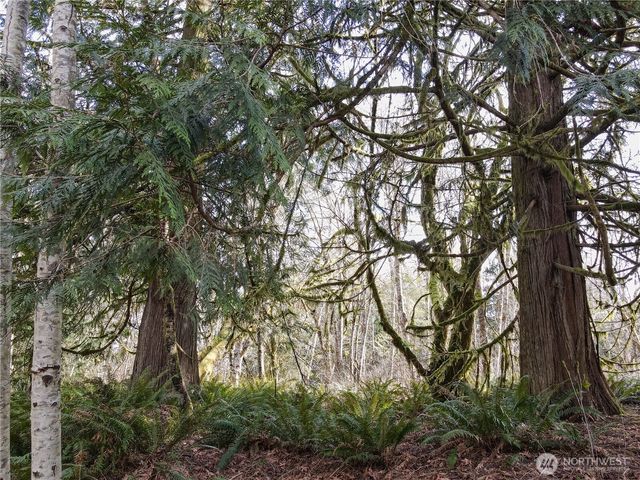 12402 131st Street NW, Gig Harbor, WA 98329