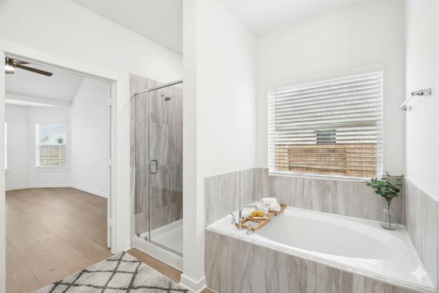 3625 Reina Reach Lane, Santa Fe, TX 77510