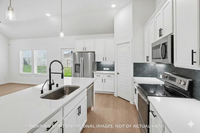 3625 Reina Reach Lane, Santa Fe, TX 77510