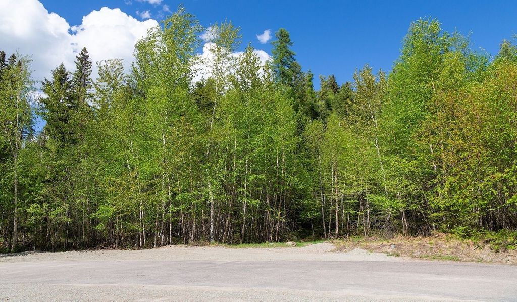 168 Whitefish Lookout Road, Whitefish, MT 59937 photo 17