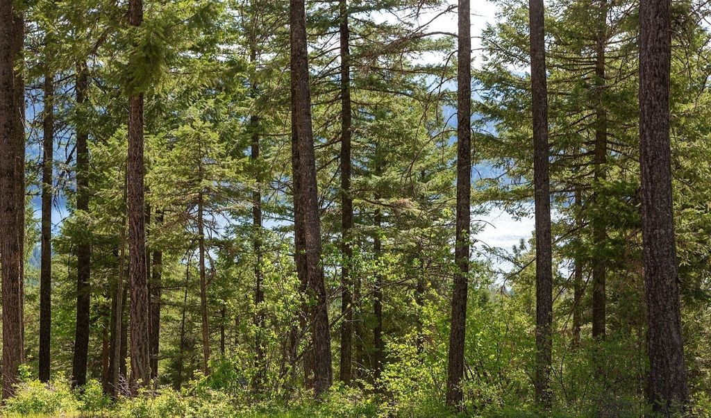 168 Whitefish Lookout Road, Whitefish, MT 59937 photo 18