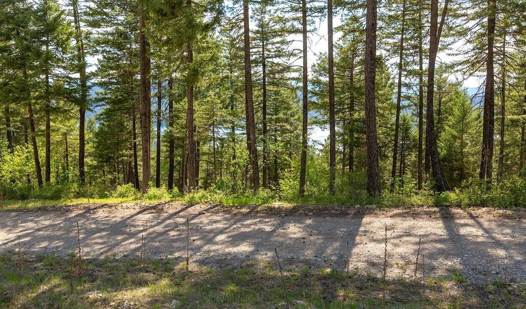 168 Whitefish Lookout Road, Whitefish, MT 59937 photo 19