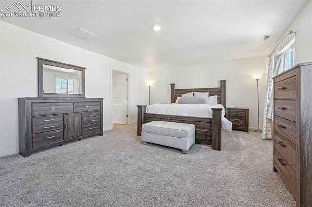 10105 Castor Drive, Colorado Springs, CO 80925