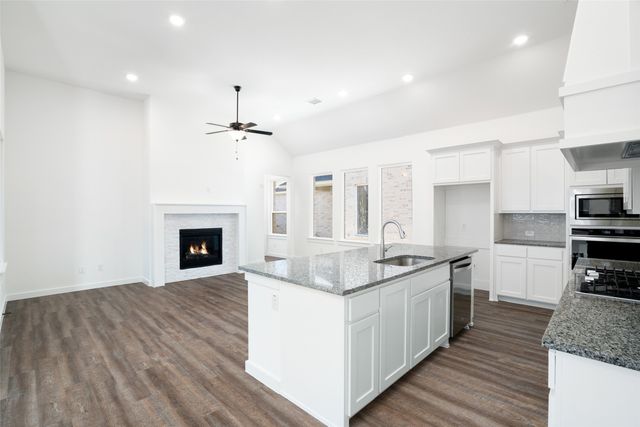15688 Fringe Tree Road, Frisco, TX 75035