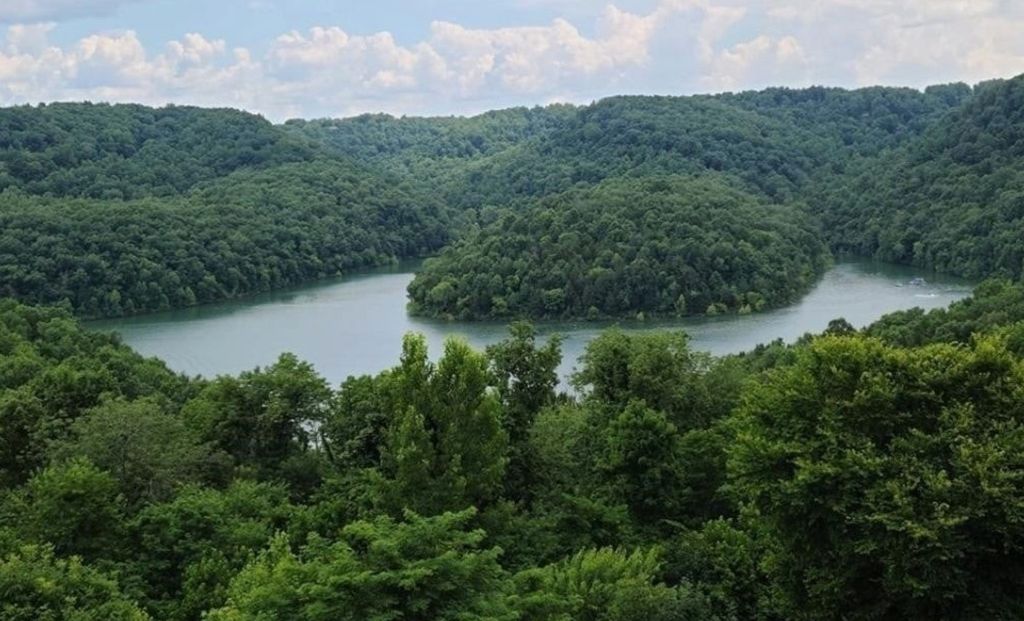 56 Nadia Lane, Smithville, TN 37166