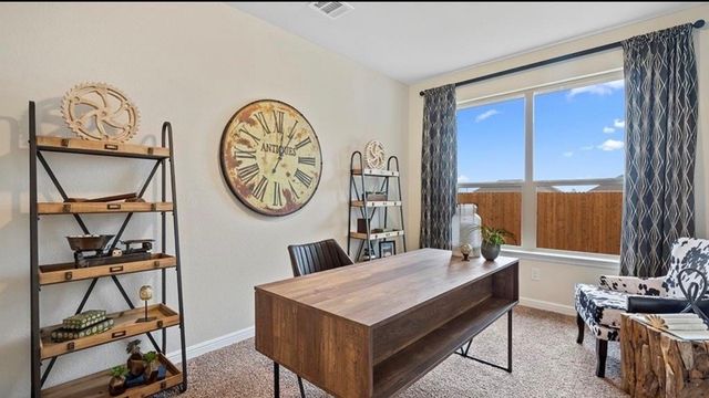 3207 Camden Creek Road, Krum, TX 76249