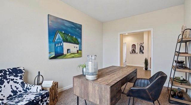 3207 Camden Creek Road, Krum, TX 76249