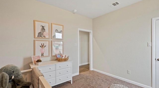 3207 Camden Creek Road, Krum, TX 76249