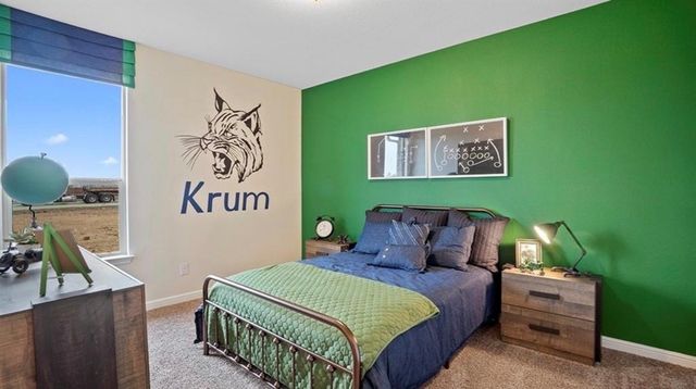 3207 Camden Creek Road, Krum, TX 76249