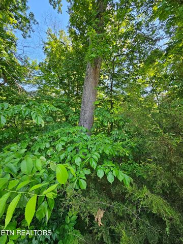 15 Saddleback Way, Sevierville, TN 37862