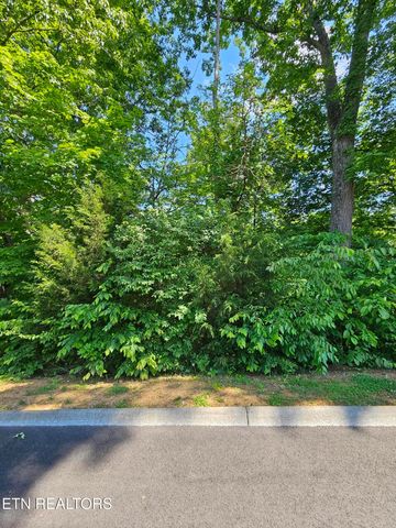 15 Saddleback Way, Sevierville, TN 37862