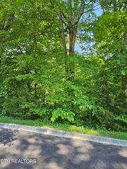 15 Saddleback Way, Sevierville, TN 37862