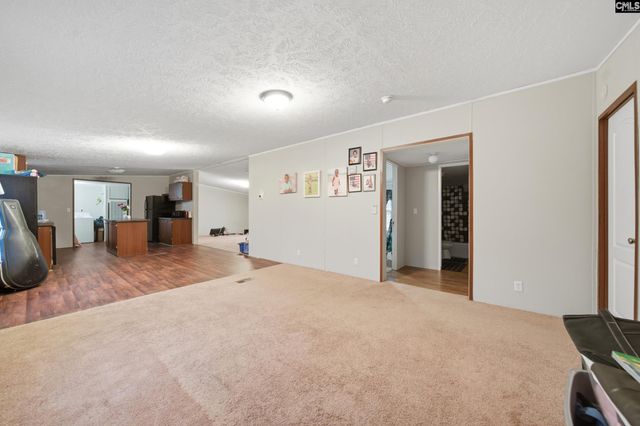 233 Peeler Road, Gaston, SC 29053