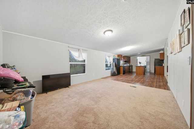 233 Peeler Road, Gaston, SC 29053