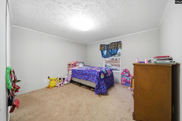 233 Peeler Road, Gaston, SC 29053