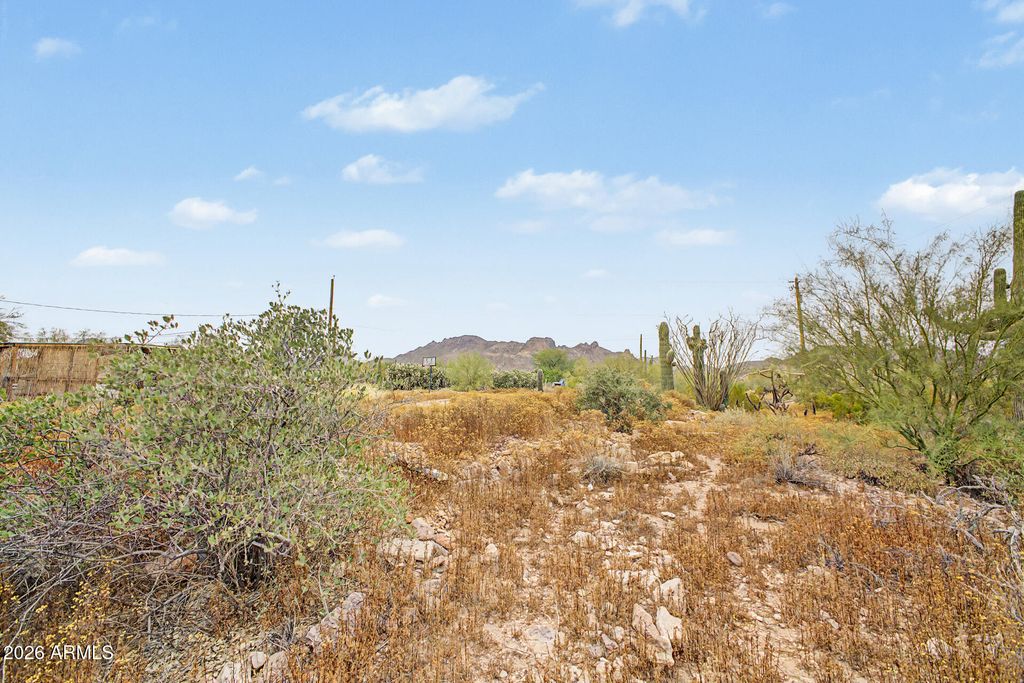 Image 82 of property listing at 1065 W WHITELEY Street, Apache Junction, AZ 85120
